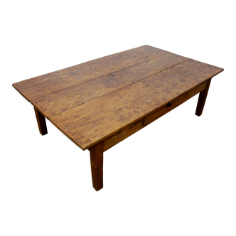Elm burl wood coffee table