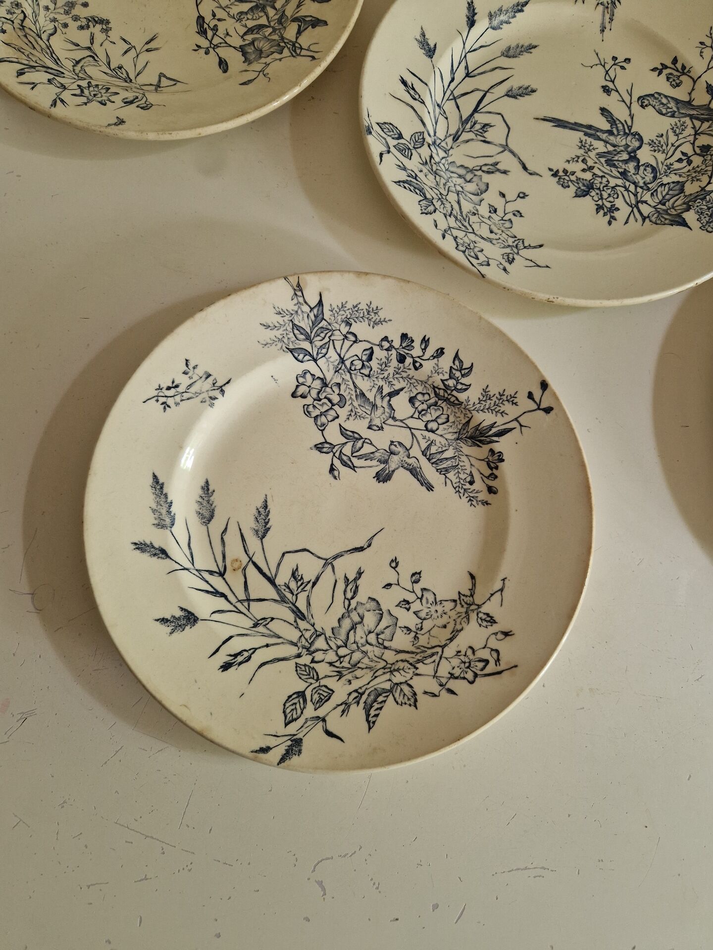 Lot De 9 Assiettes Plates Terre De Fer