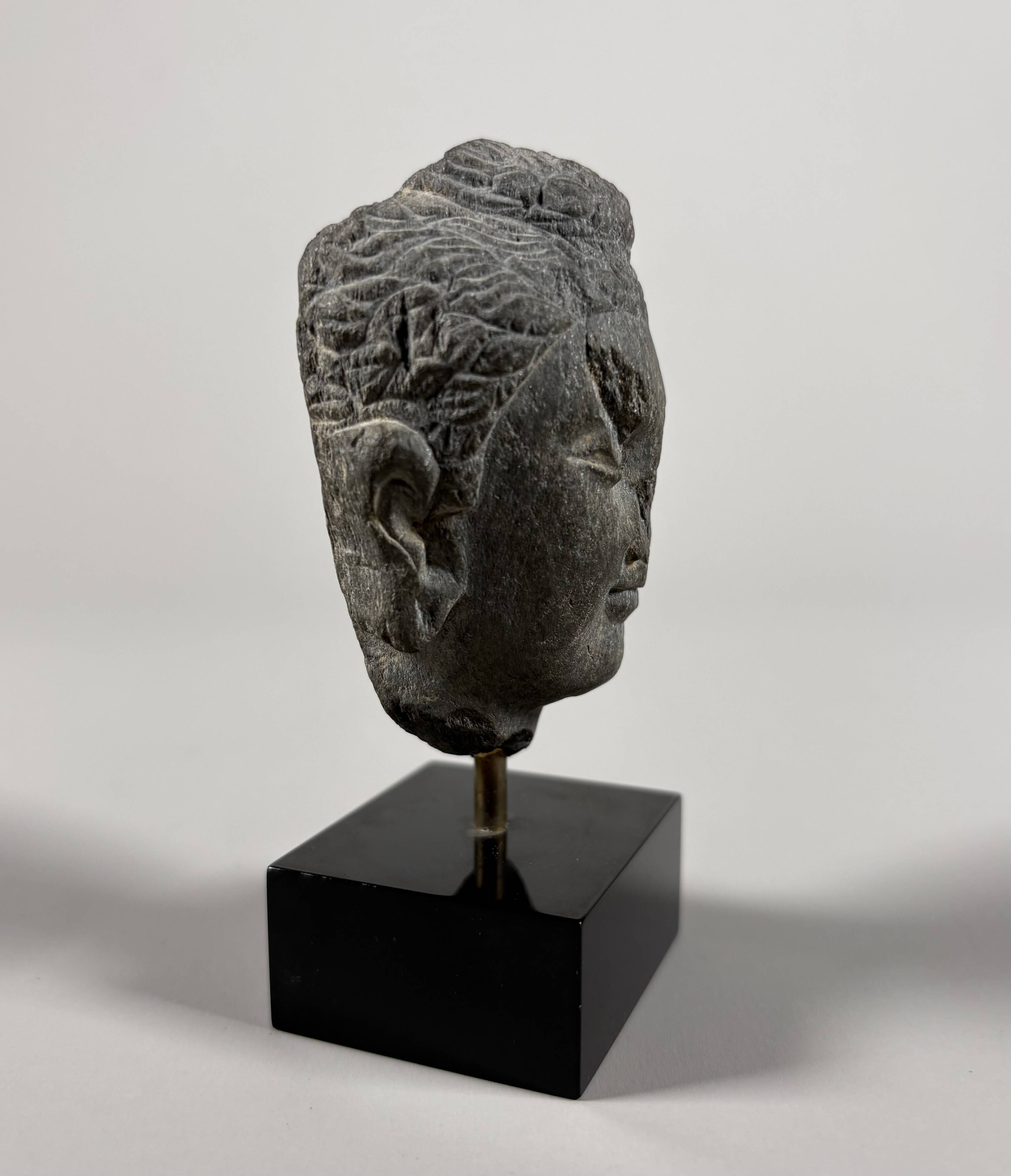 Sculpture of a Buddha head in grey schist from Gandhara, ancient Greece.