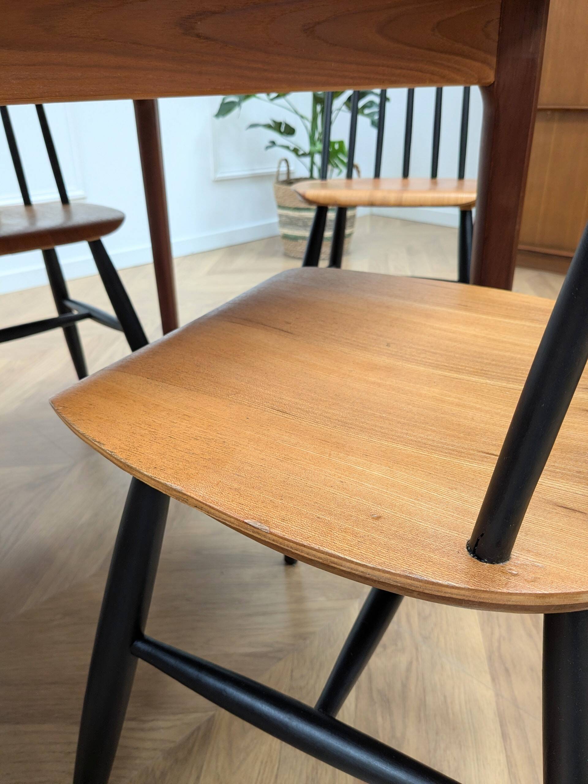 Lot de 5 chaises Fanett Ilmari Tapiovaara