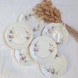 6 porcelain dessert plates