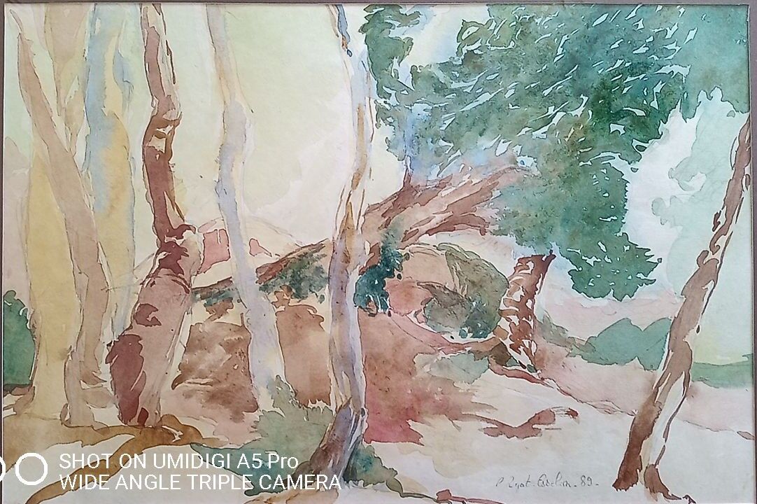 Pascale Rigat-Esselin (born in 1952) - watercolor - 32 x 48 cm - signed, dated 89
