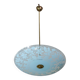Italian Vintage Floral Glass and Brass Pendant Chandelier, Mid-Century, 2 L