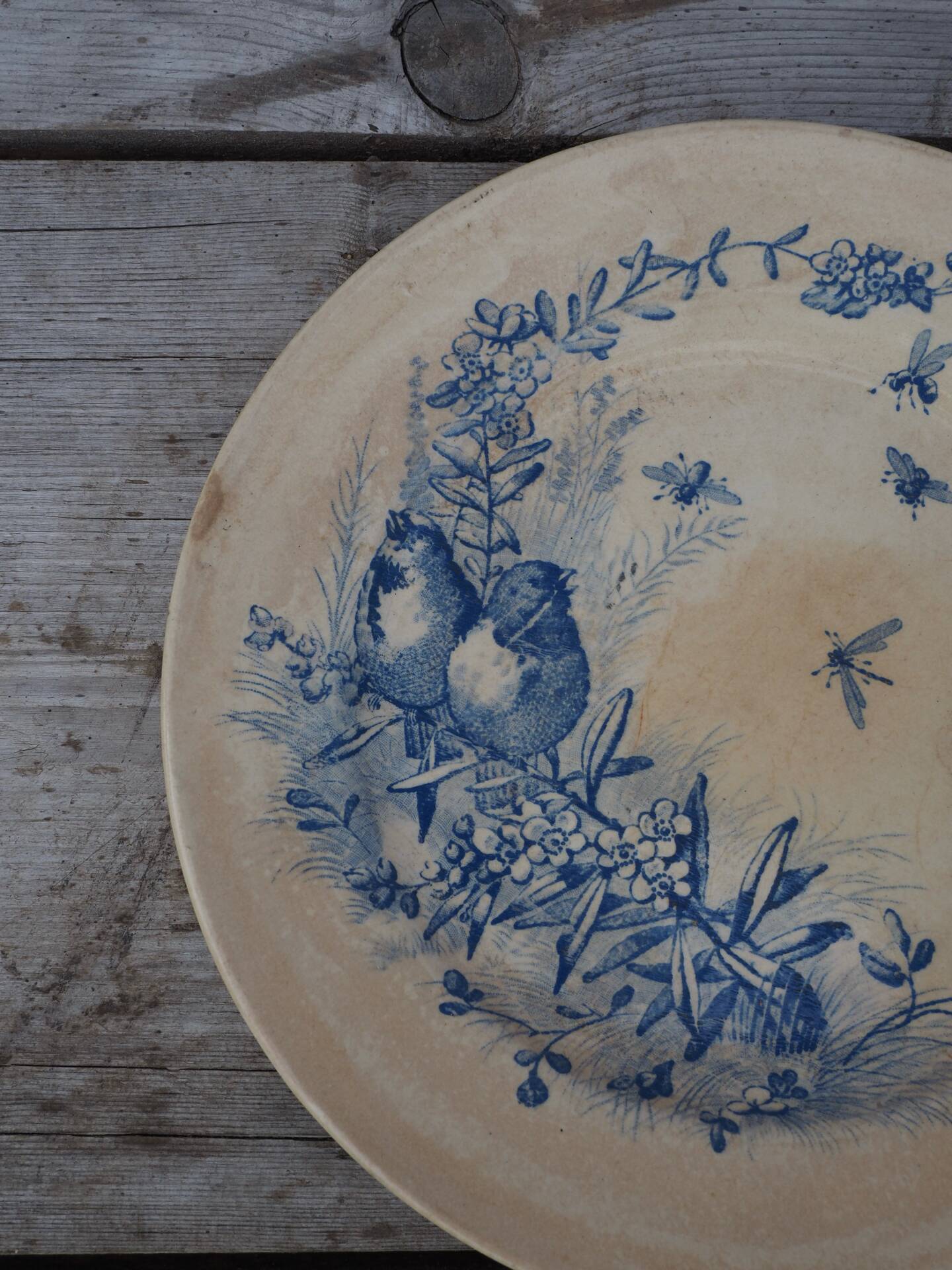 Plate dish Jules Vieillard, 1870