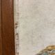 Old painting, still life with roses and oranges, signed circa 1950.