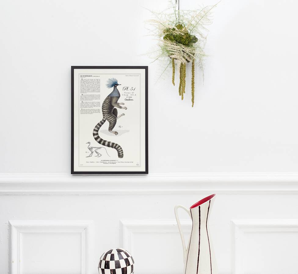 Chimera lithograph engraving animal - the marmoset