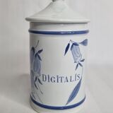 Pharmacy pot in earthenware from Longchamp Digitalis