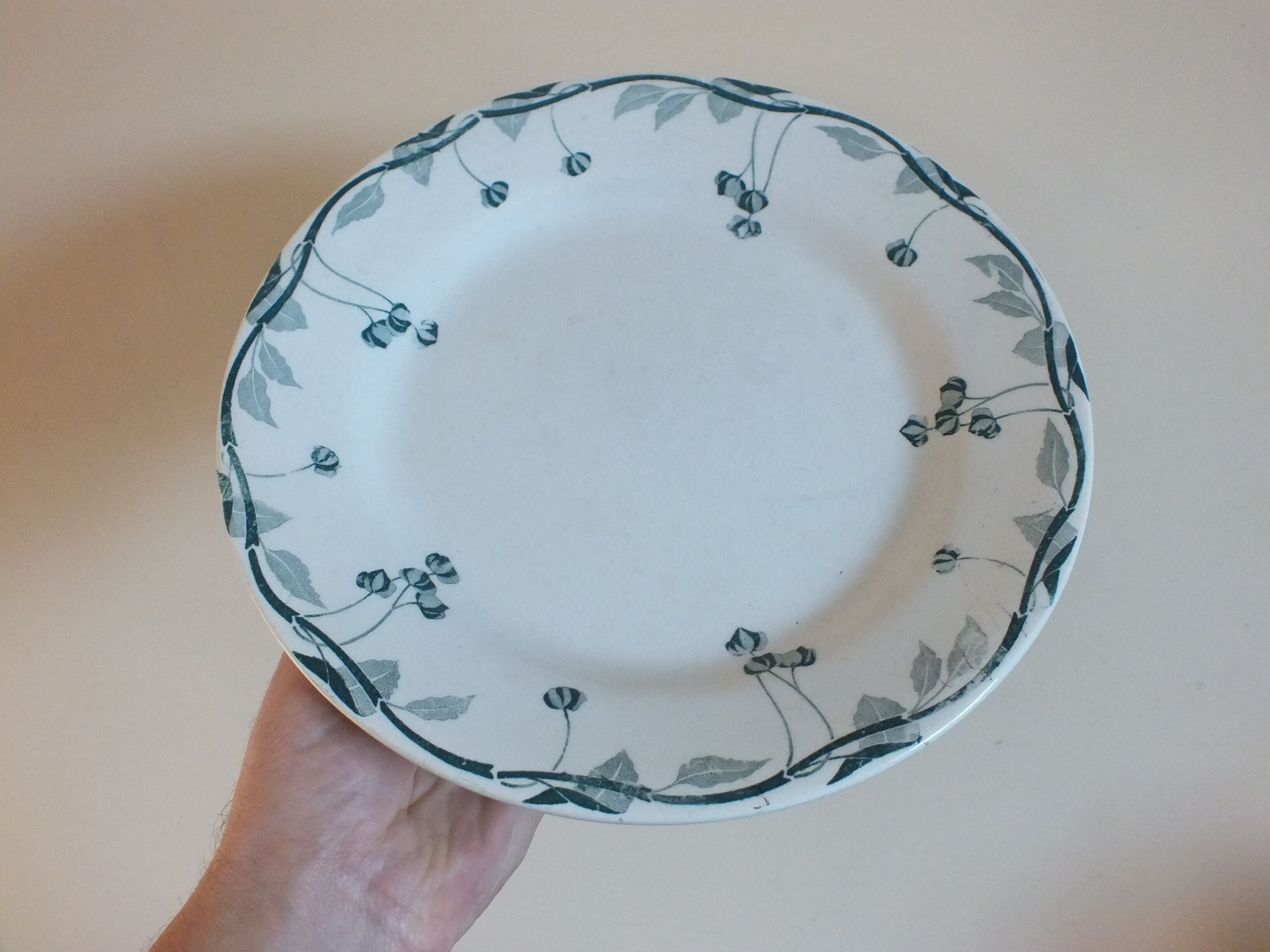 Display cut Creil and Montereau Labrador service Chambéry