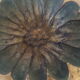 Monique Gerber bronze ashtray 70s