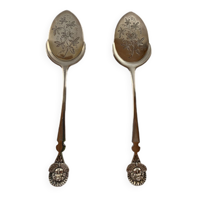 Cuillères à Glace