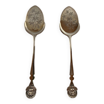 Cuillères à Glace