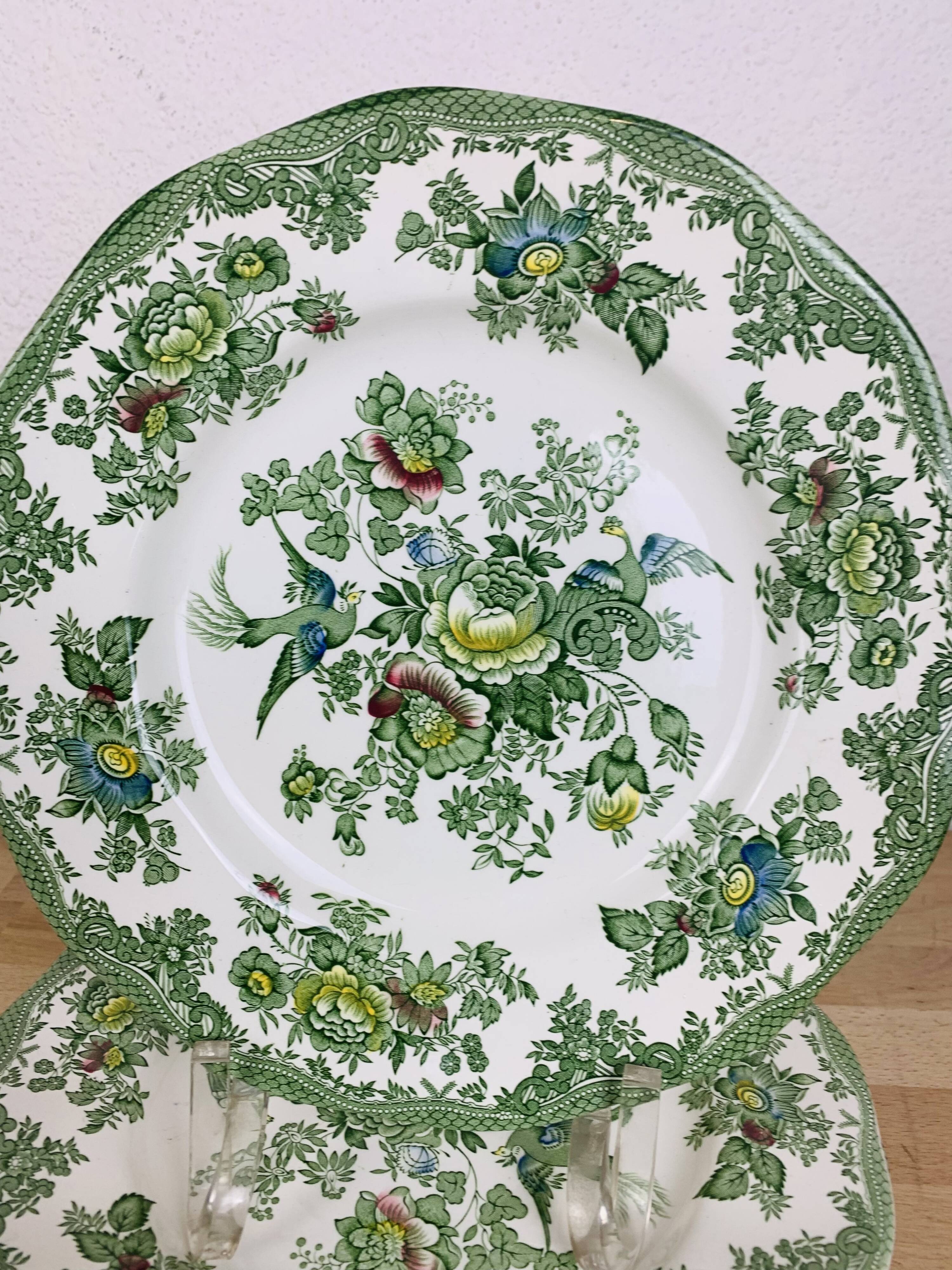 6 flat plates Wedgwood Oriental Pheasants green