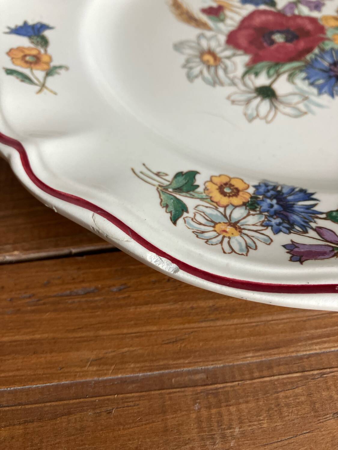 6 Sarreguemines dinner plates