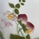 Set of 2 HB&Cie slip plates, diameter 21 cm, strawberry decoration