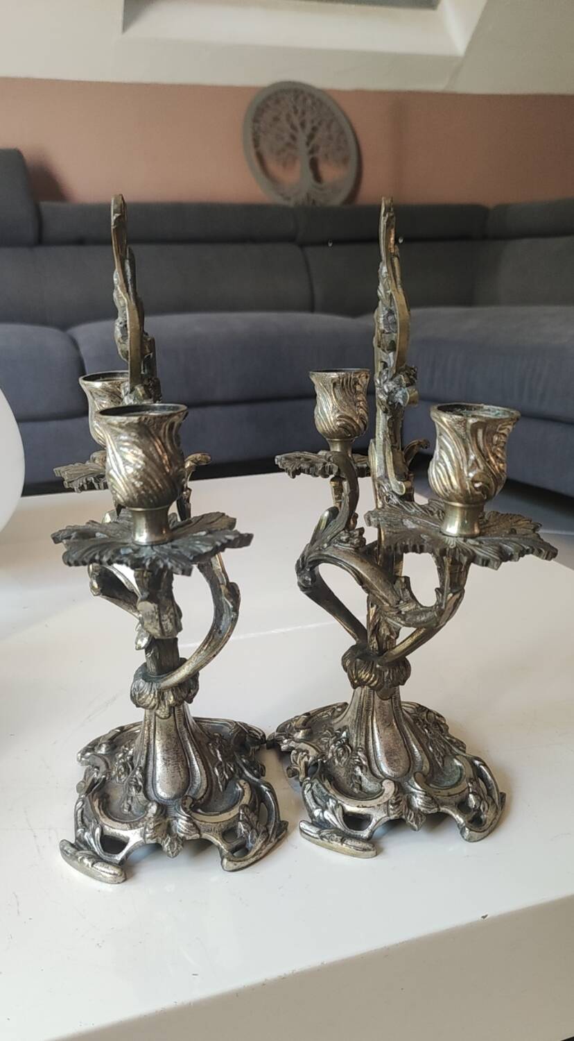 Pair of Candelabra in Louis XV/Rocaille Style, 2 lights. In gilded bronze, 19th century.