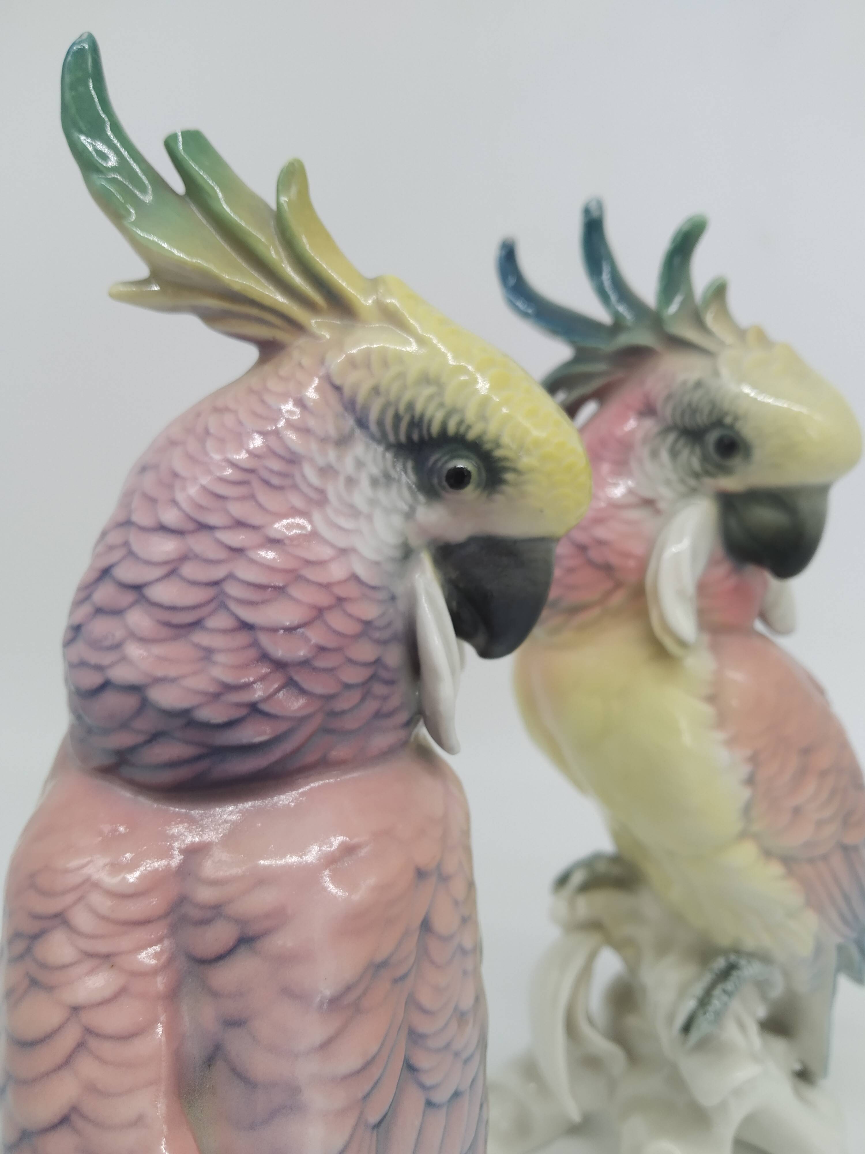 Couple of Cockatoos by Karl Ens