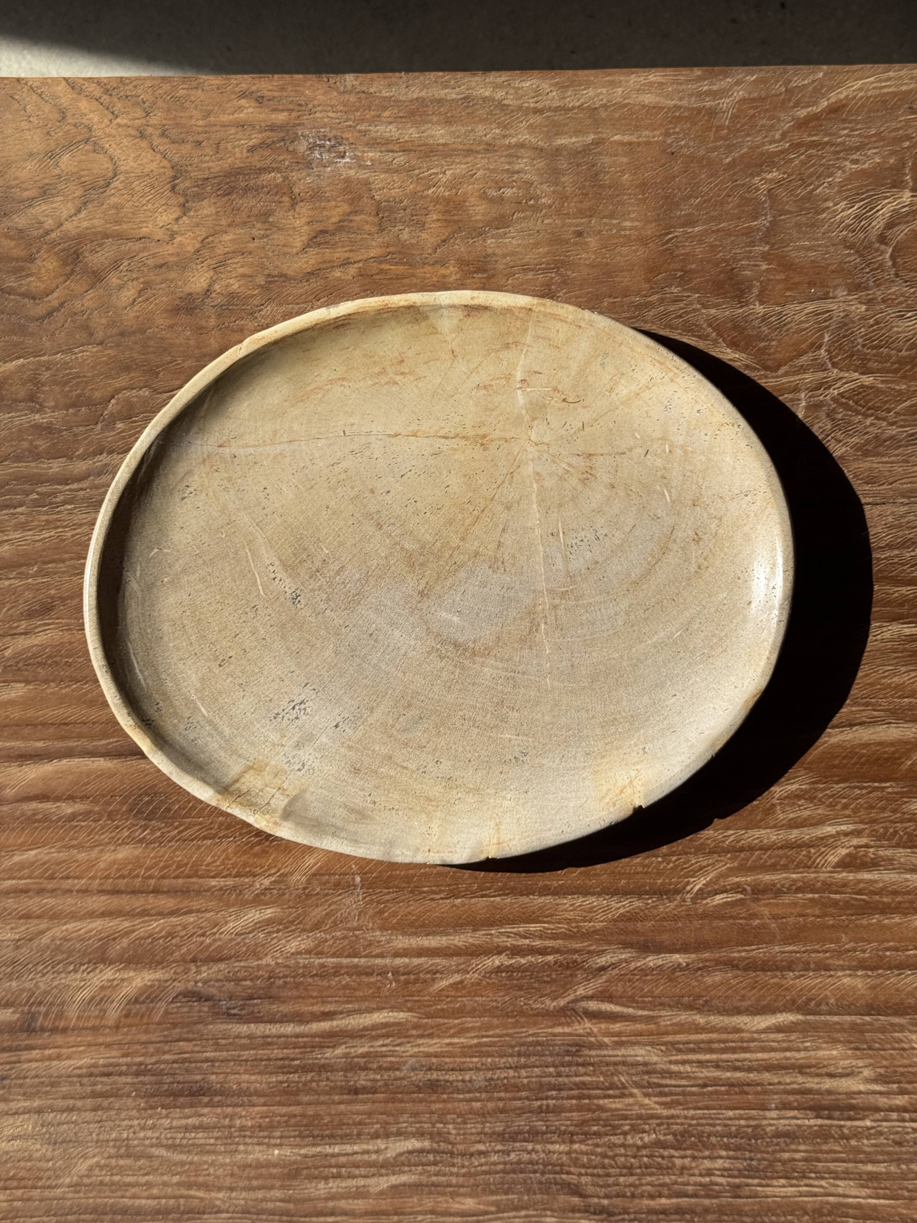 Small oval beige solid petrified wood tray or pocket emptier D24-19 -3311
