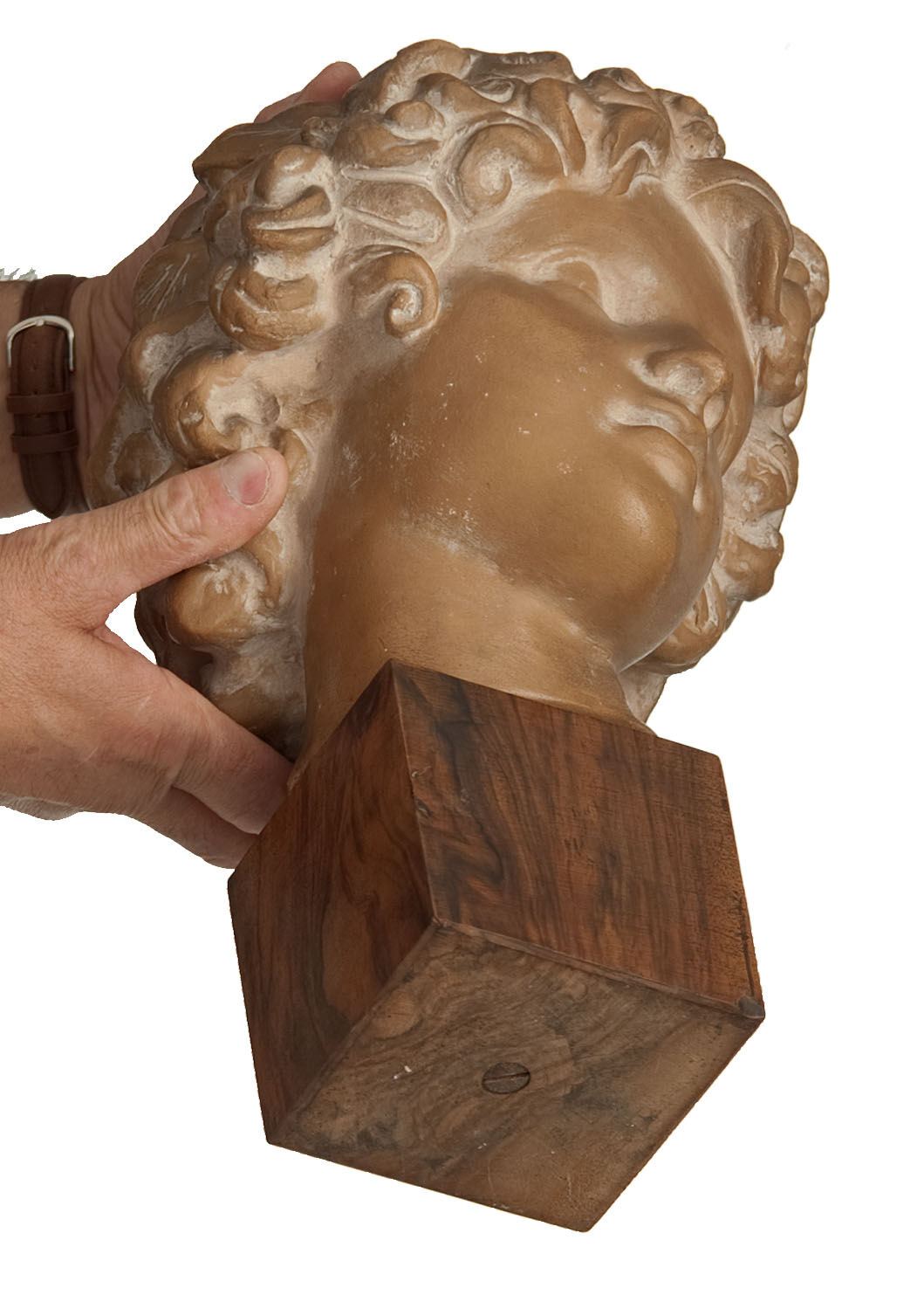 Ephebe terracotta bust