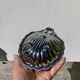Metal butter dish shell