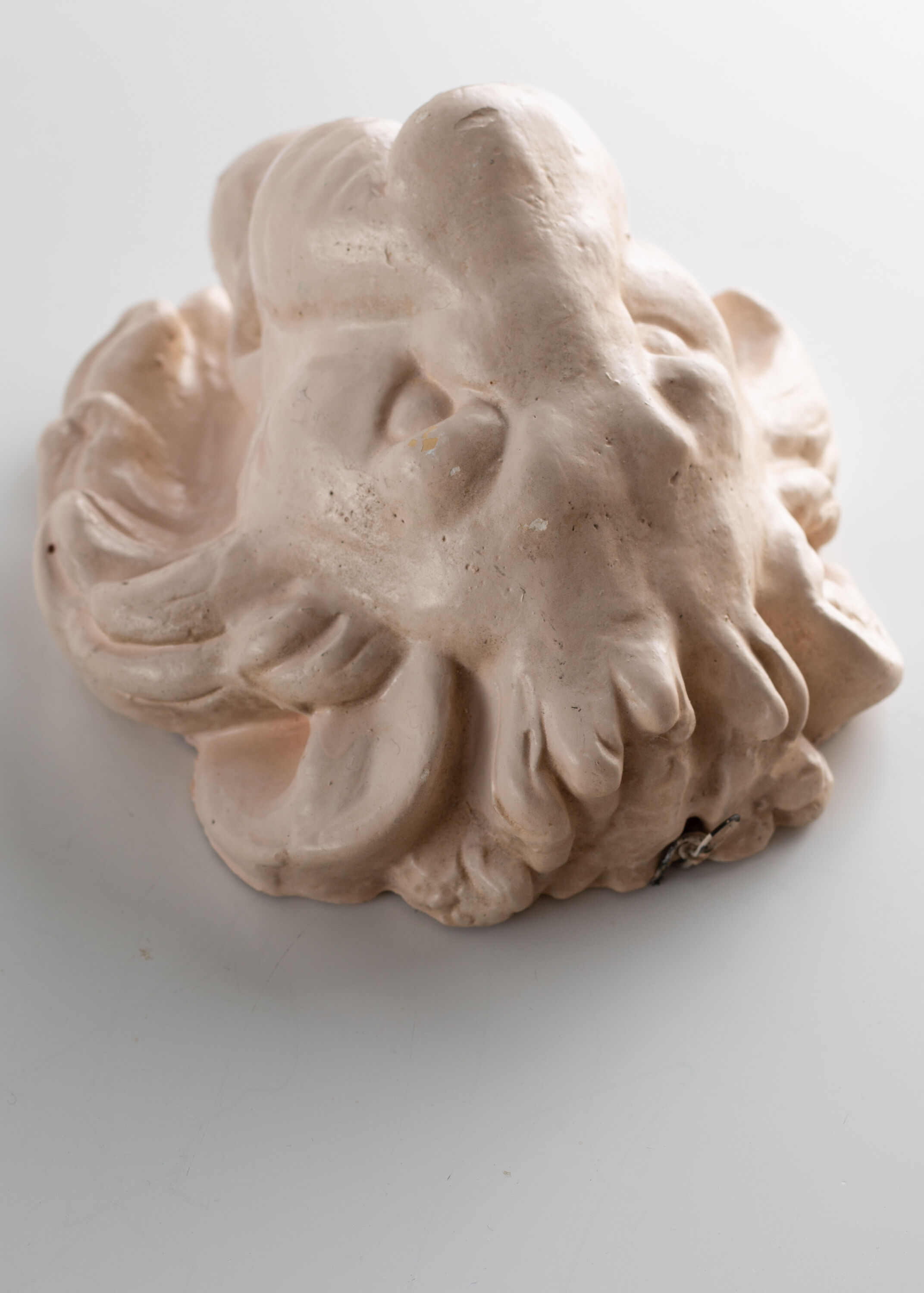 Lion's head in painted plaster
