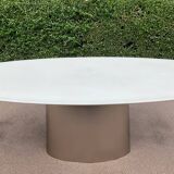 Oval designer dining table in frosted glass and brushed stainless steel