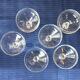 6 champagne or cocktail glasses in transparent glass in very good condition.