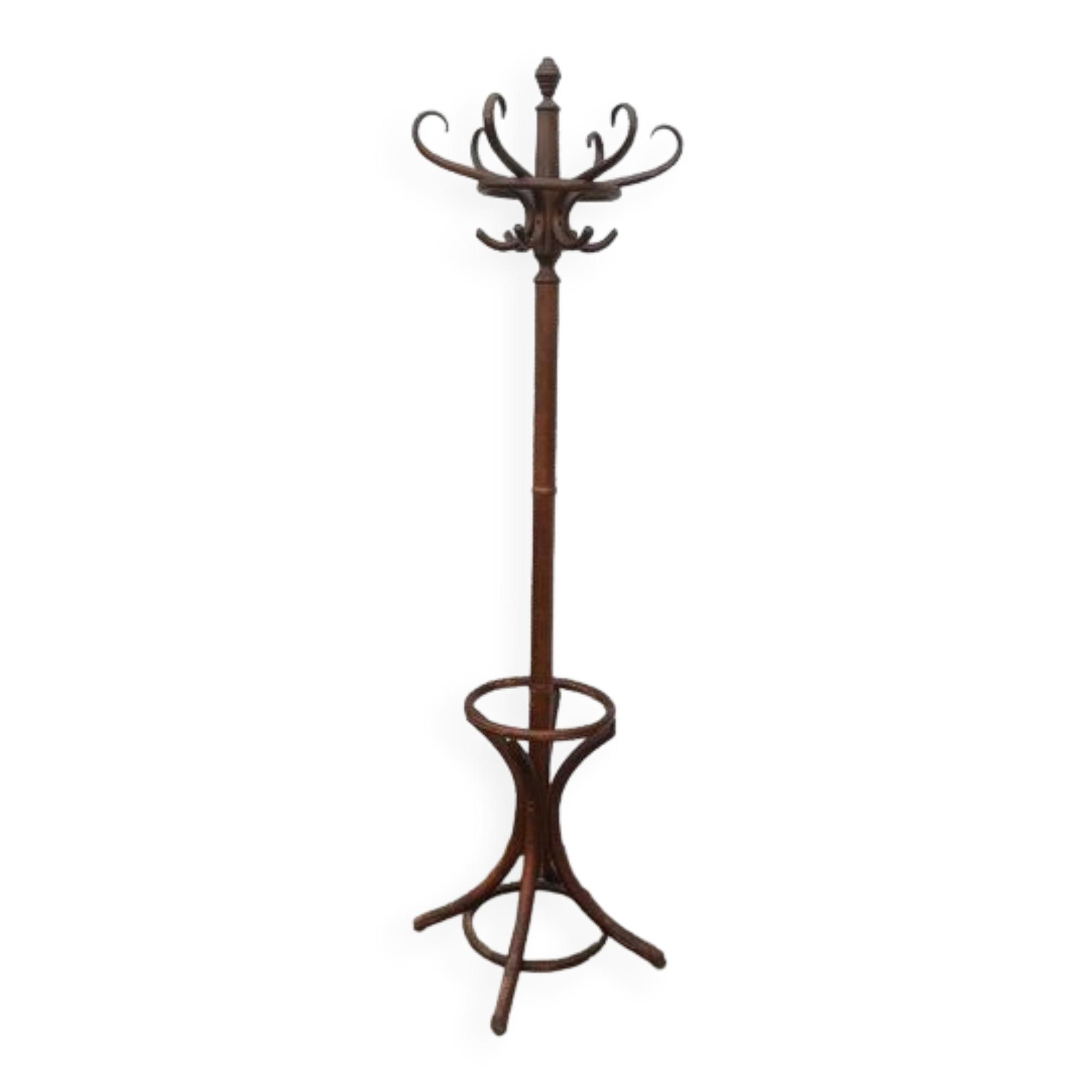 Porte-manteau, perroquet