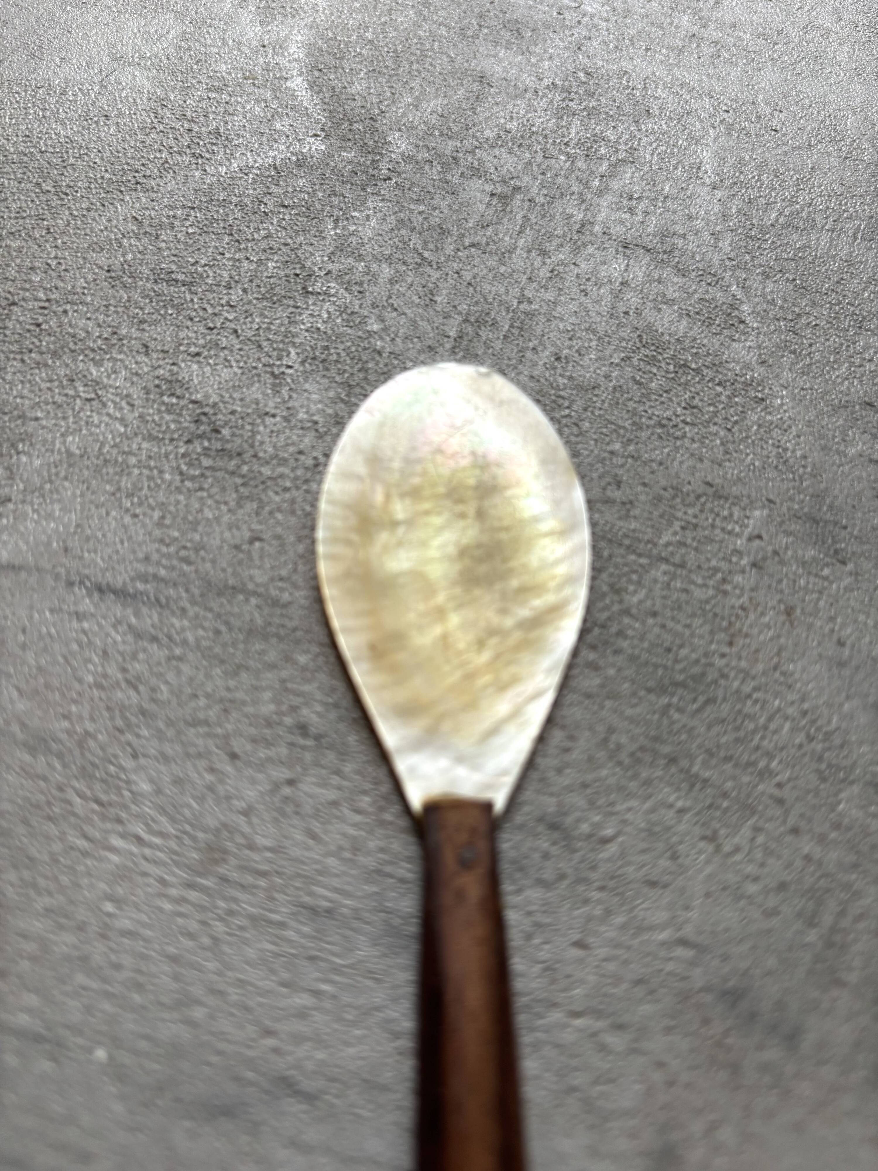 Mother-of-pearl and wood spoon