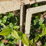 Window L156.2xH119 industrial curved metal glass roof frame