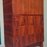 Storage cabinet in rosewood of rio by Andre Monpoix