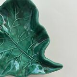 Empty green leaf pocket