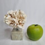 Ancient white coral on marble base