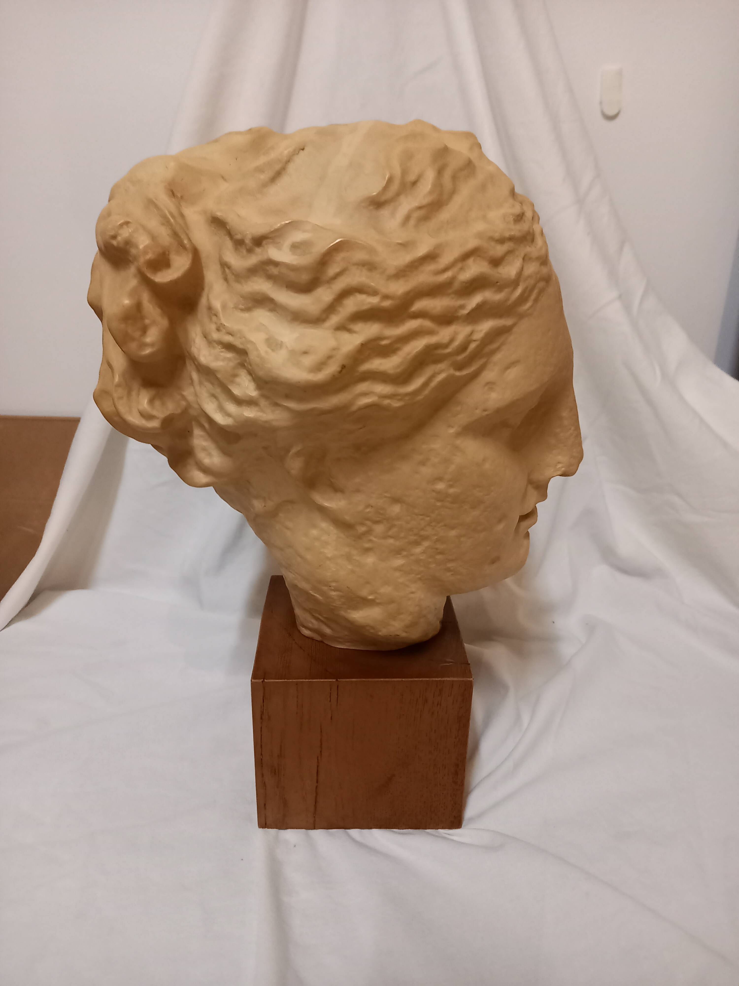 Head of the goddess Hygieia, Greek sculpture of the second classicism, cast from the Louvre Museum