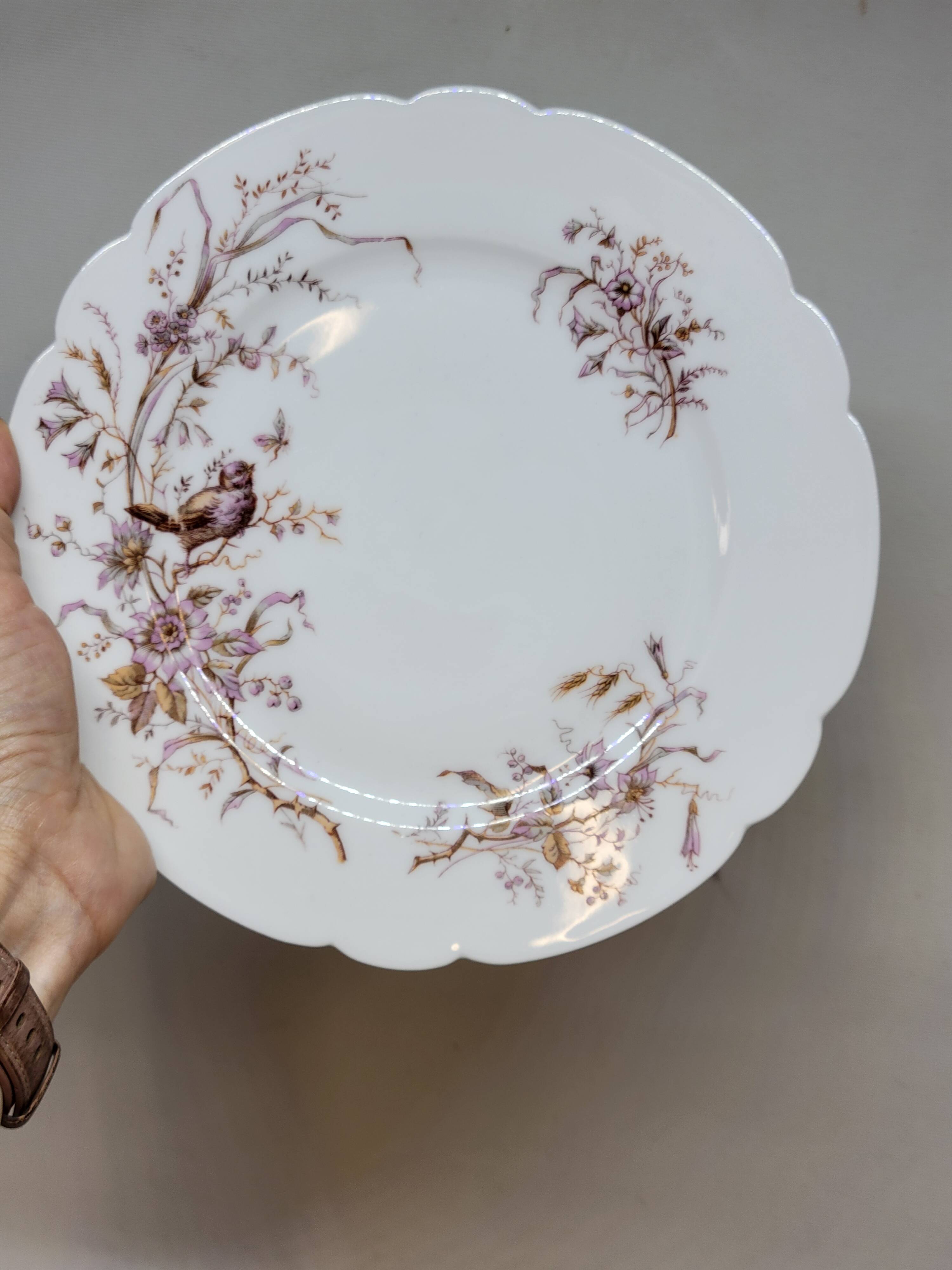 8 Superb Antique 19th Century Plates Decorated with Birds on Branches