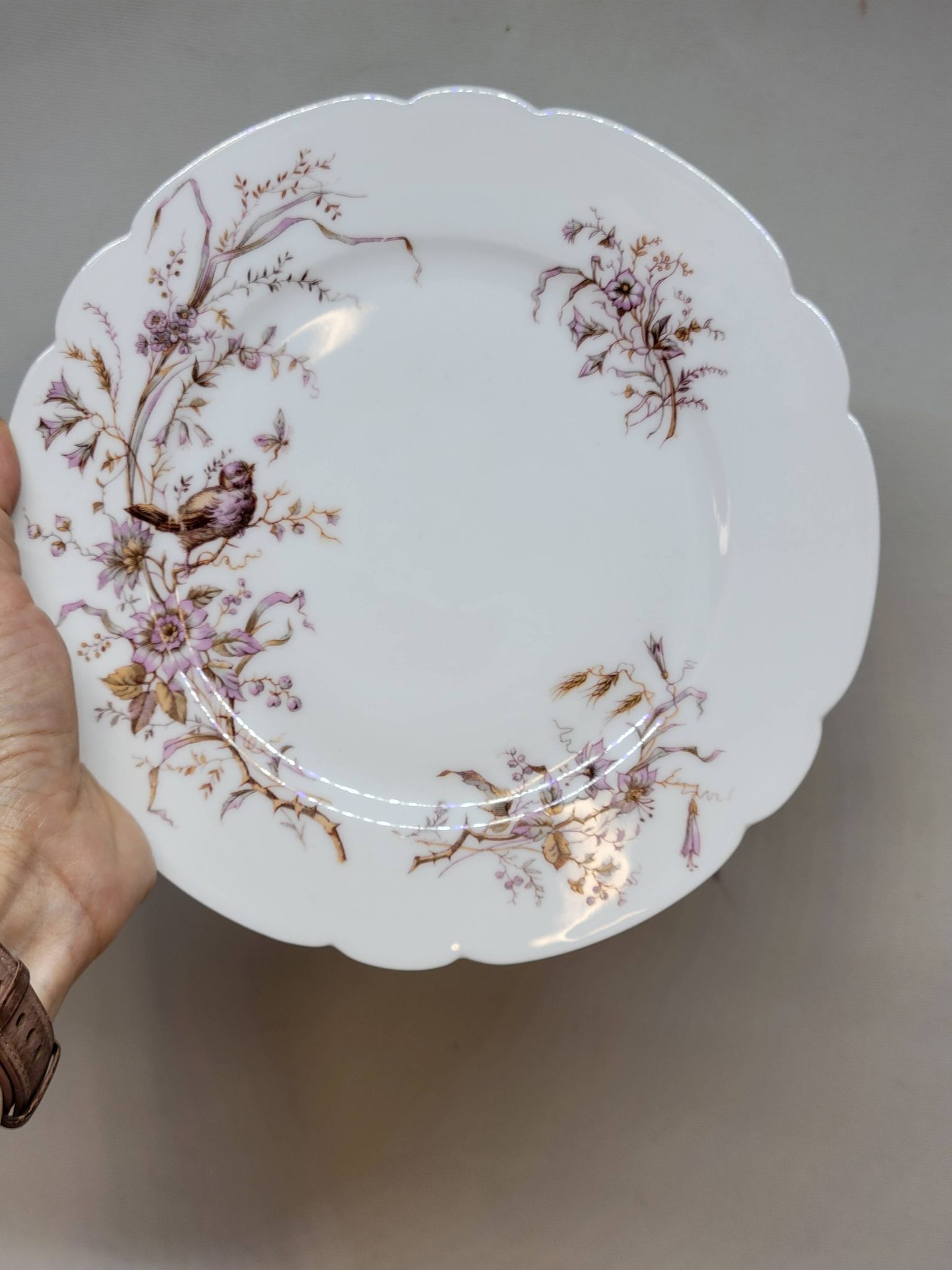 8 Superbes Assiettes Anciennes XIXème Décor Aux Oiseaux Sur Des Branches
