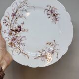 8 Superb Antique 19th Century Plates Decorated with Birds on Branches