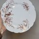 8 Superb Antique 19th Century Plates Decorated with Birds on Branches
