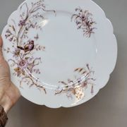 8 Superbes Assiettes Anciennes XIXème Décor Aux Oiseaux Sur Des Branches