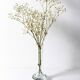Small Vintage Clear Single Flower Glass Vase / Pukeberg / Sweden / 1960s