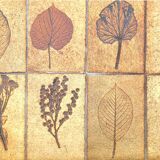 Herbarium pattern ceramic coffee table