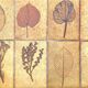 Ceramic coffee table with herbarium pattern
