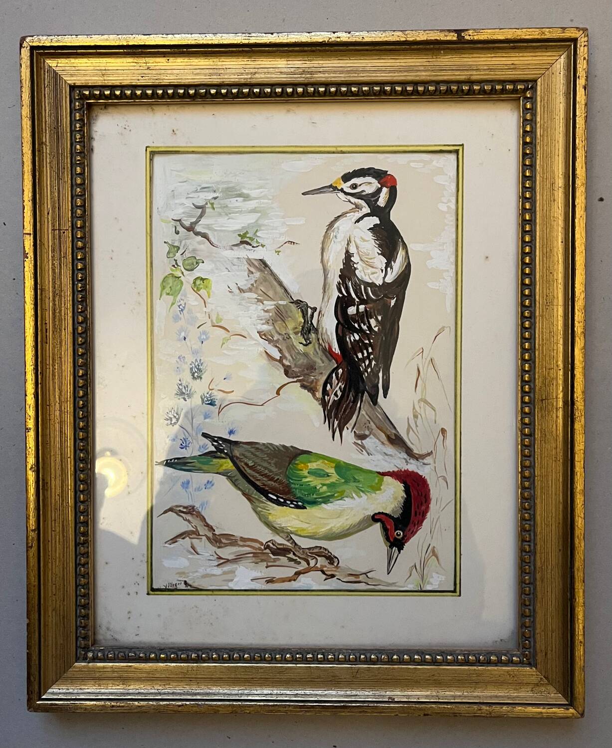 Table: green woodpecker and great spotted woodpecker
