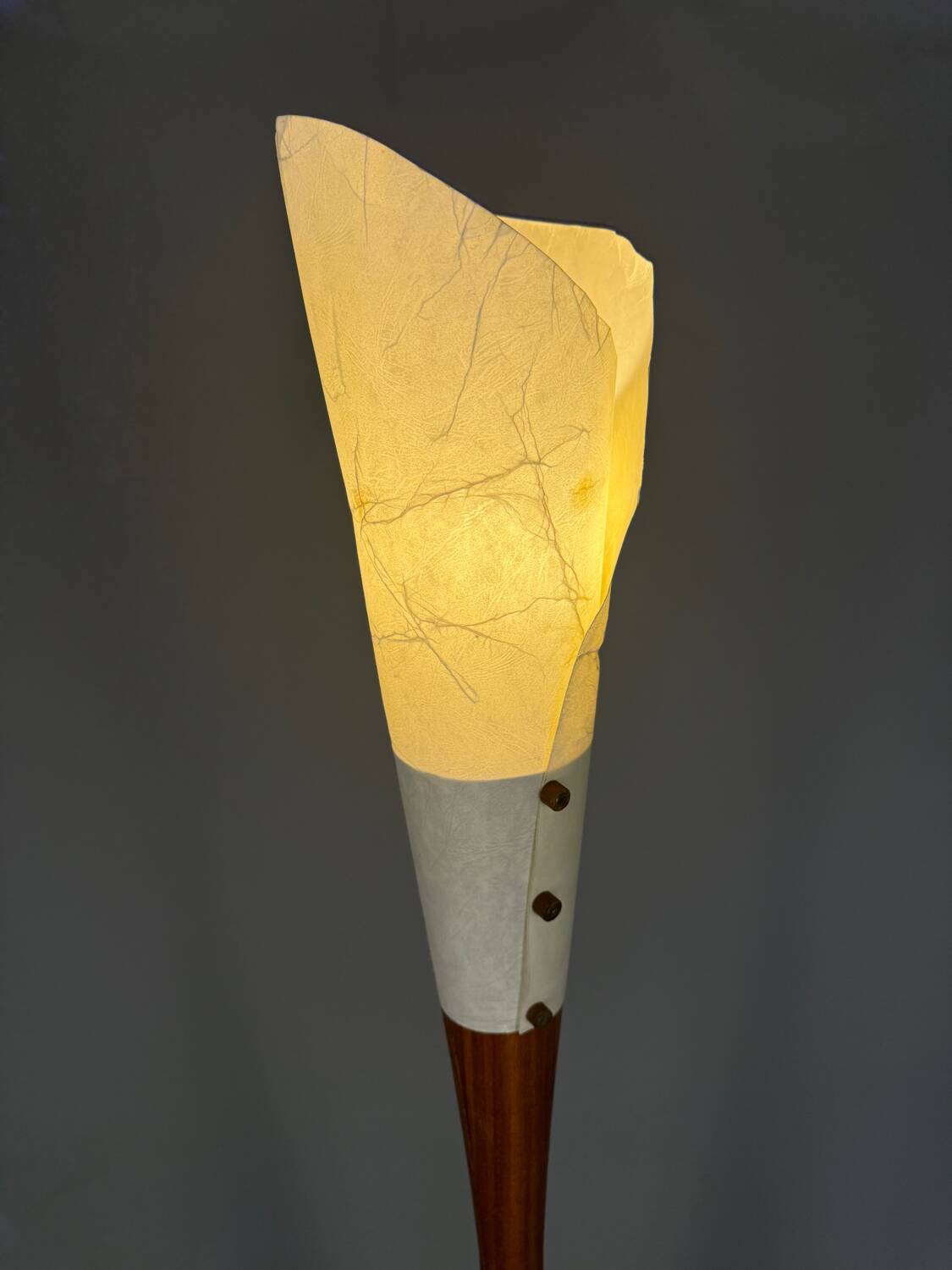 Sculptural floor lamp - exotic wood and textured shade, modern vintage style