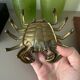 vintage brass crab decor ashtray