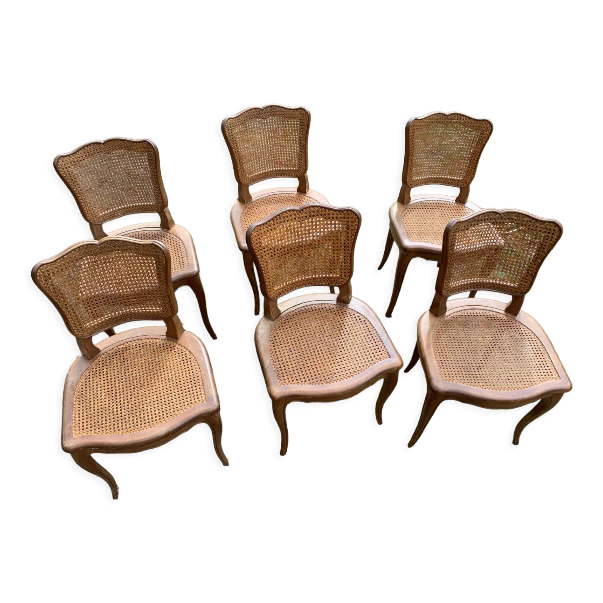 Lot de 6 chaises Louis Philippe cannées époque 19ème