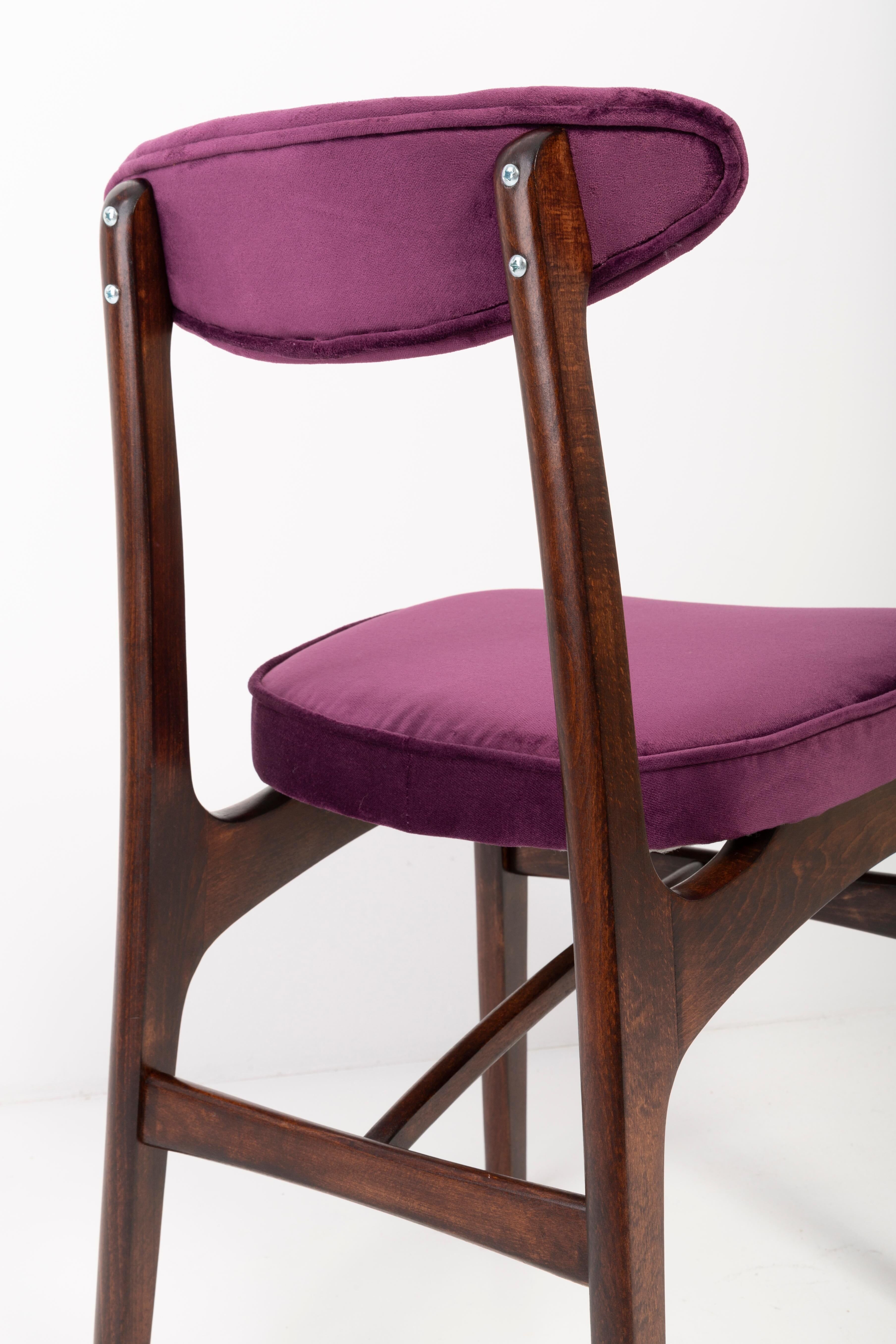 Chair by Rajmund Halas in purple velvet from the 20th century, 1960s.
