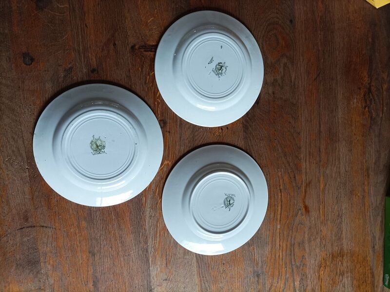 Plate mill wolves Violetta