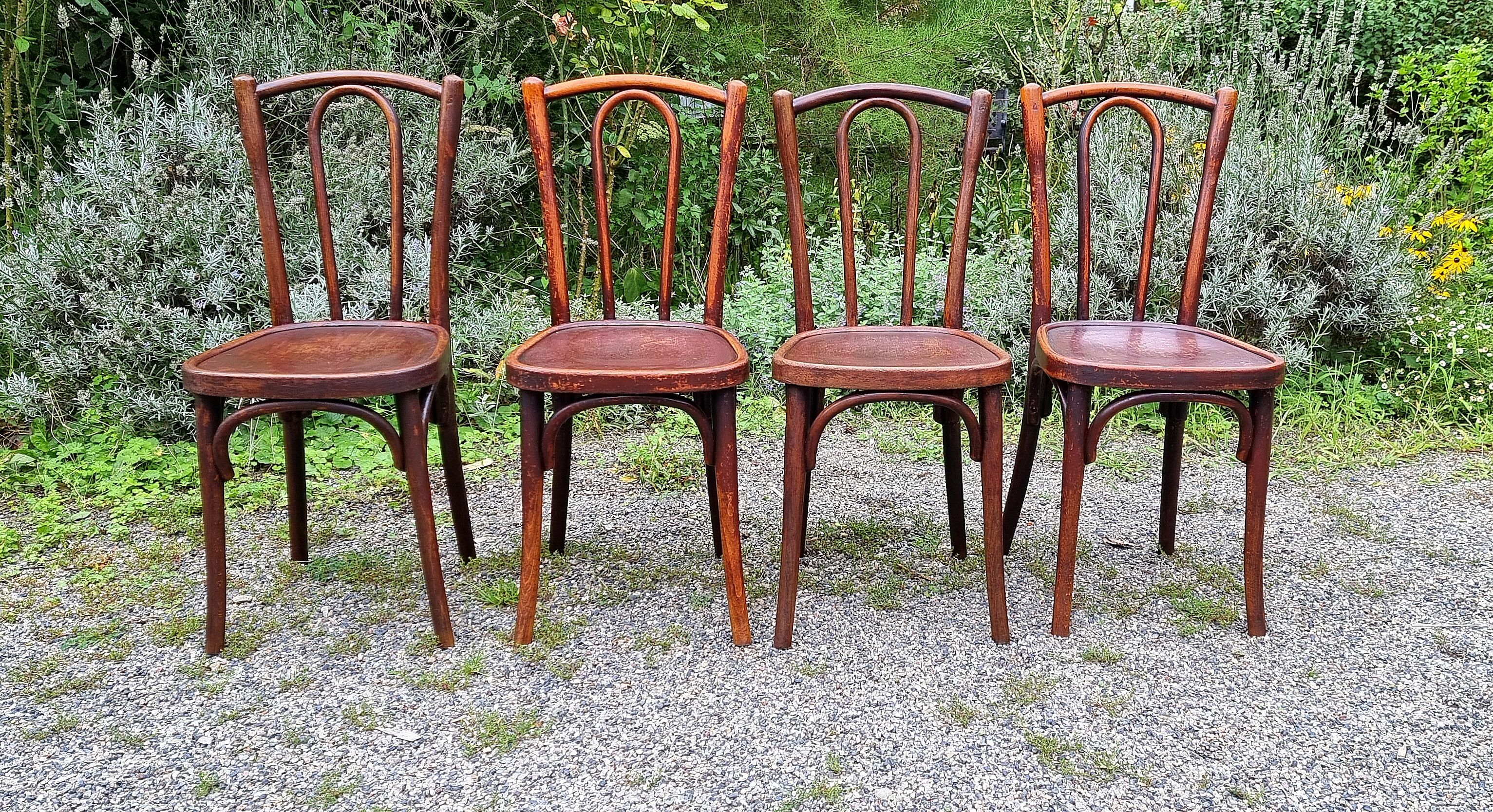 4 chairs bistrot type n°56 years 30
