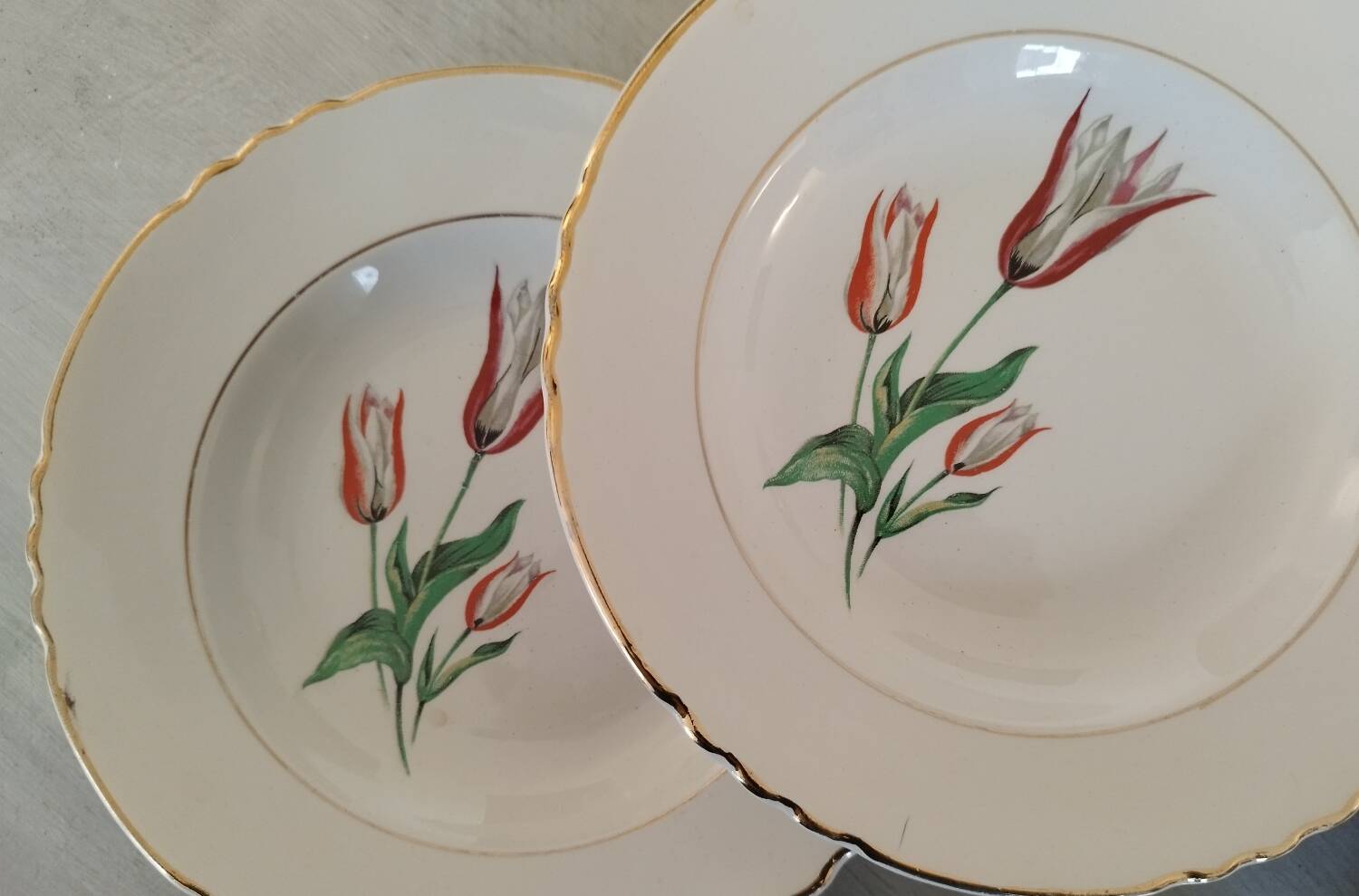 Old earthenware hollow plates Moulin des loups Orchies vintage tulip model