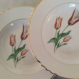 Old earthenware hollow plates Moulin des loups Orchies vintage tulip model